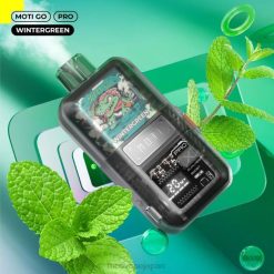 MOTI Go Pro 使い捨て電子タバコ (5%、12000 パフ) ウィンターグリーン 60LN24 Moti Vape Price