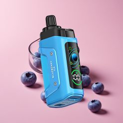 Razz Bar 45000 Puffs ブルーベリーアイス 1.0Ωメッシュコイル タイプC充電式