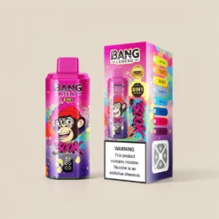 Bang Legend Geek 300K 8in1 フレーバー切替式 充電式VAPE スマートディスプレイ搭載