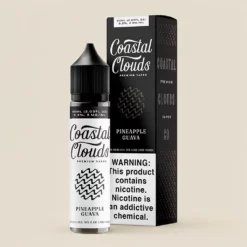 Coastal Clouds Vapor パイナップルグアバ トロピカルフルーツパンチ